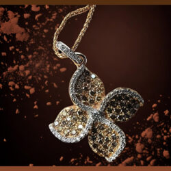 IMG_20240512_145706_380