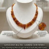 Amber Neck 47 c